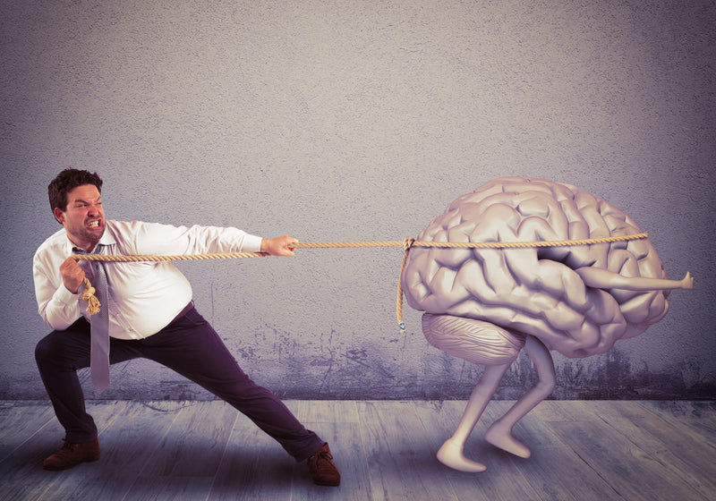 Mental Stamina: What It Means and Why It Matters Drink Lithios